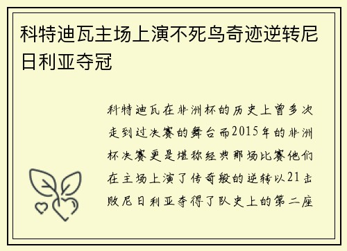 科特迪瓦主场上演不死鸟奇迹逆转尼日利亚夺冠 科特迪瓦主场上演不死鸟奇迹逆转尼日利亚夺冠